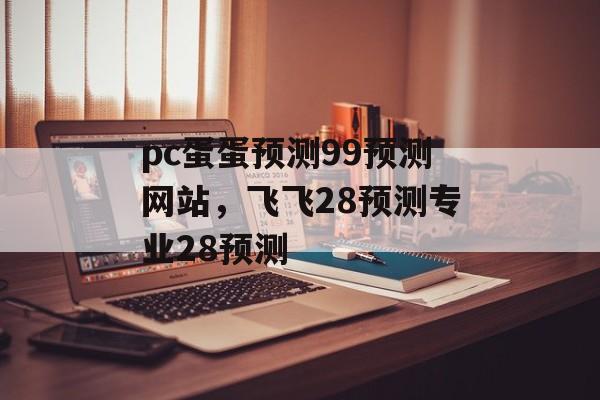 pc蛋蛋预测99预测网站，飞飞28预测专业28预测